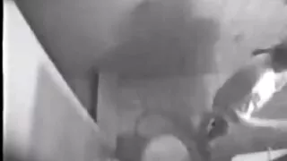 यार गडबड आमा मित्र मा बिल्ली र मुख मा