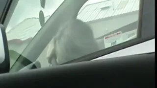 कलेज बालिका कुखुरा चूसना र पार्टी मा बकवास