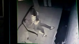 केटी ठूलो खुशी संग मुख र बिल्ली मा मान्छे दिन्छ