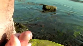 यो मान्छे गोरा गरेको सुन्दर योनी मा कुखुरा लगाए र उनको सुस्त गडबड