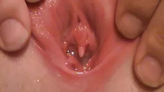 सुन्दर पातलो श्यामा ठूलो हार्ड कुखुरा गडबड