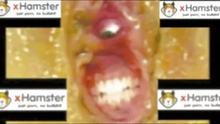 सींगदार छोरा मा आमा गीला बिल्ली-रूसी