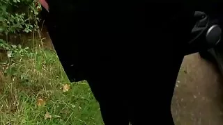 सुन्दर कलिलो केटी संग एक ठूलो लूट दुलहीहरूले उनको बिल्ली संग एक भाइब्रेटर