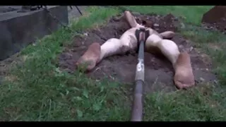 दुई पुरुष तलाकशुदा जवान श्यामा मोजा मा एक गैंगबैंग लागि