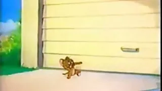 एक मसालेदार दृश्य मा, गोरा साशा प्रेमी गरेको लिंग चूसना र खुशी संग योनी उहाँलाई fucks